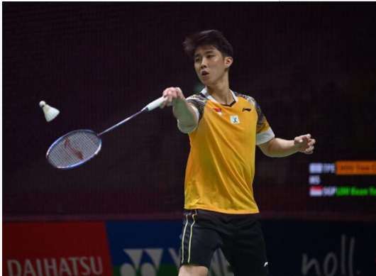 {百家樂}(世界羽毛球名将男)